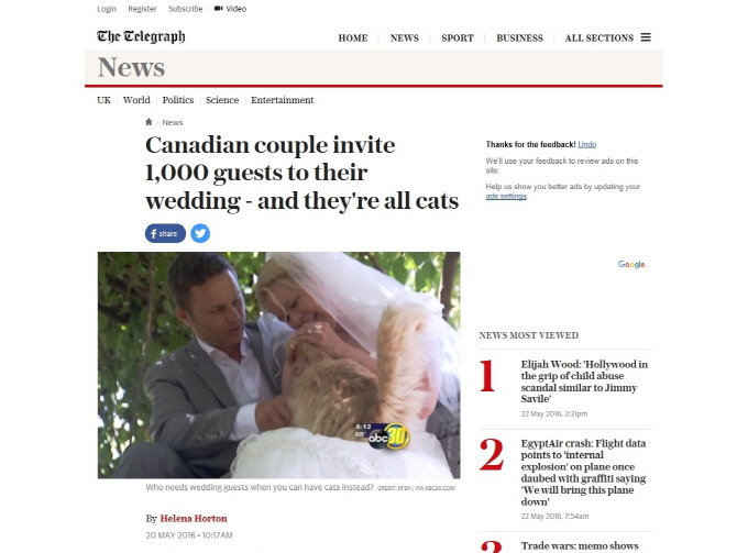이색 결혼식 올린 신혼부부, 하객 대신 `고양이` 초대한 사연은?