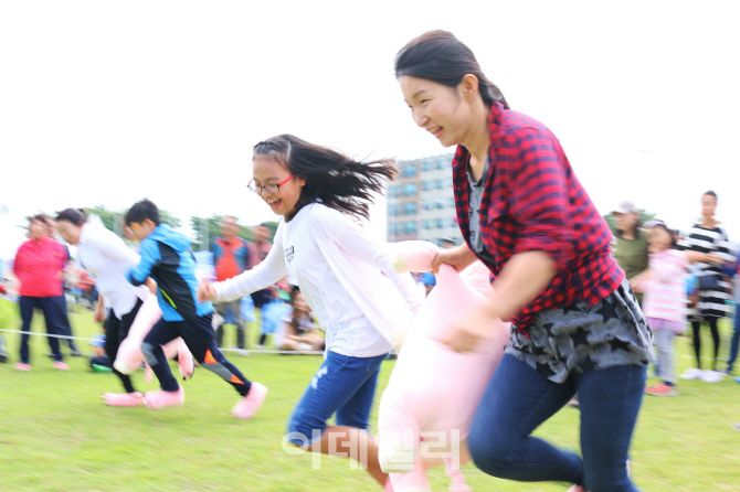 [포토] 제주 도새기 축제