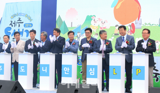[포토] 제주 도새기 축제4