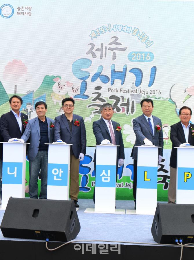 [포토] 제주 도새기 축제6