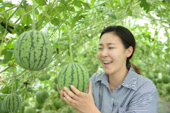 롯데슈퍼, 1인용 수박 출시..“사과처럼 깎아 드세요”