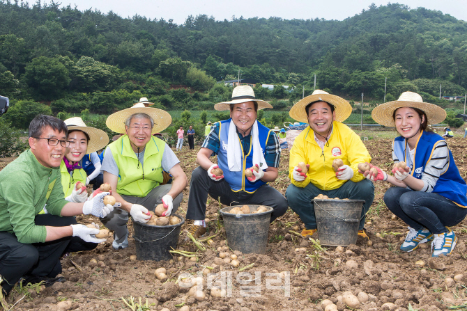 광주·대구銀, '달빛동맹' 농촌 봉사활동 실시