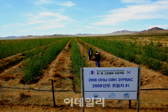 산림청 10년 구슬땀 몽골에 3천ha숲 조성