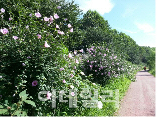 서울시·우리銀 11개 학교에 무궁화동산 조성