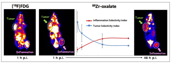 국내연구진, 체내 염증만 보여주는 방사성의약품 개발 '세계최초'
