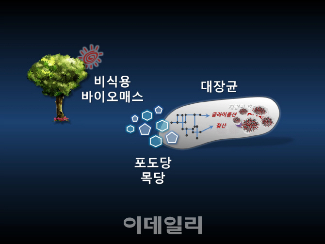 KAIST 이상엽 교수 시스템대사공학, 올해 떠오르는 10대 기술 선정