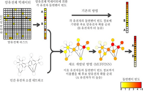 국내연구진, 유전자 소셜네트워크로 암유전자 찾아낸다