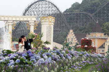 에버랜드에 꽃바다가 펼쳐진다... '그랑블루 가든' 개장