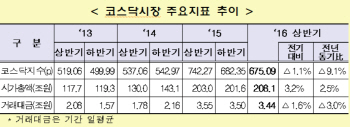 올 상반기 코스닥 중·소형株 '랠리'