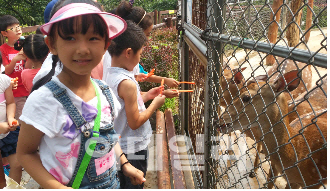 인천대공원 ‘동물먹이주기’ 등 무료여름학교 운영