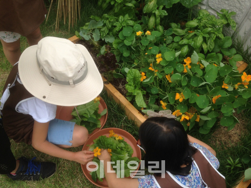 서울시, '학교 텃밭정원' 지원 확대