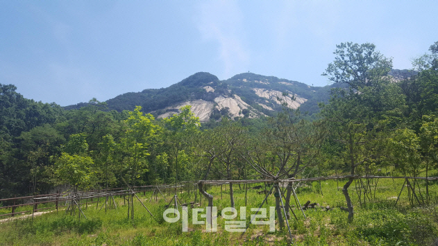 건국대·삼육대·노원구, 불암산공원 녹색복지 특화공간 조성