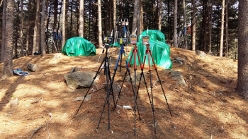 소나무재선충병 훈증방제, 안전성 재확인