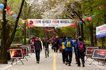 올 상반기 산불, 지난해보다 33% 줄었다