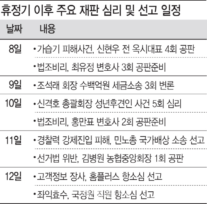 휴정기 끝났다…롯데·효성·농협·홈플러스 등 대형재판 줄줄이