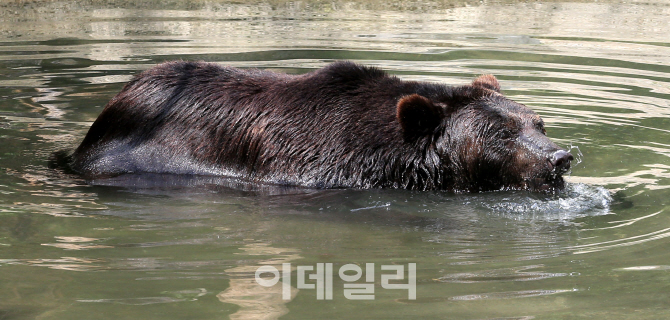 [포토]이것이 반신욕