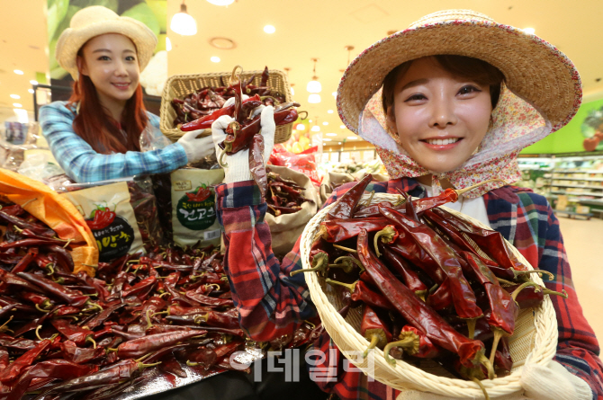 [포토]롯데마트, '전국 유명산지 햇고추 개시!'