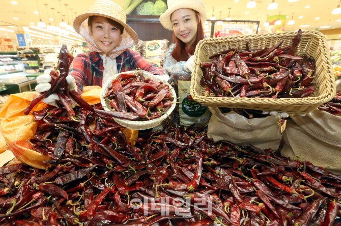 [포토]롯데마트, 전국 유명산지 햇 고추 선보여