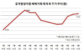 "한계기업이면 어때?"…개미들의 `폭탄돌리기`
