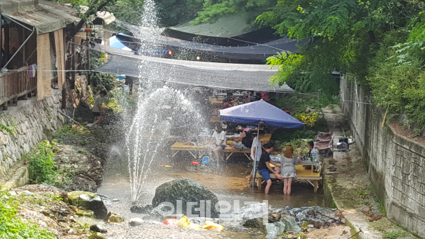 계곡서 평상 설치해 음식 판매한 업소들 적발