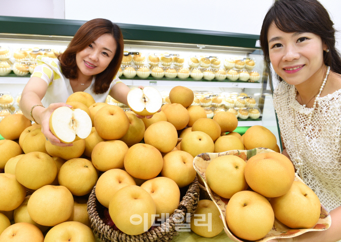 [포토]농협유통, '올해 첫 출하된 햇배 맛보세요'