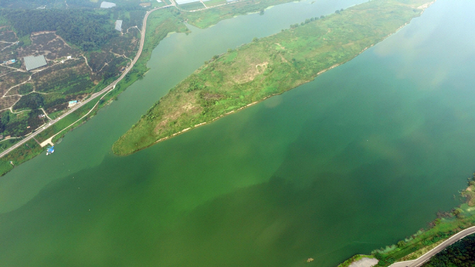 녹조로 뒤덮힌 낙동강·금강...사진으로 살펴보니