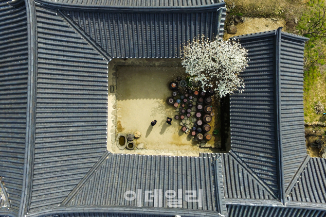대한민국 최고의 관광사진…대통령상 '운조루의 봄'
