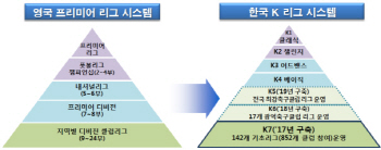 [2017 예산안]영국 프리미어리그처럼..축구 디비전시스템 도입