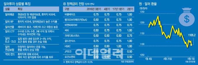 美 금리인상 기대 솔솔…눈길 가는 달러