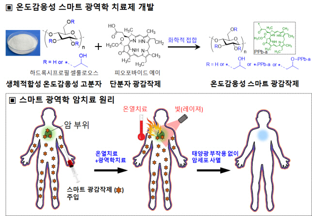 원격 온도조절로 암세포 치료 가능한 온도감응 광감작제 개발