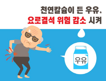 요로결석 예방, 칼슘 보충제보다 우유가 더 효과적