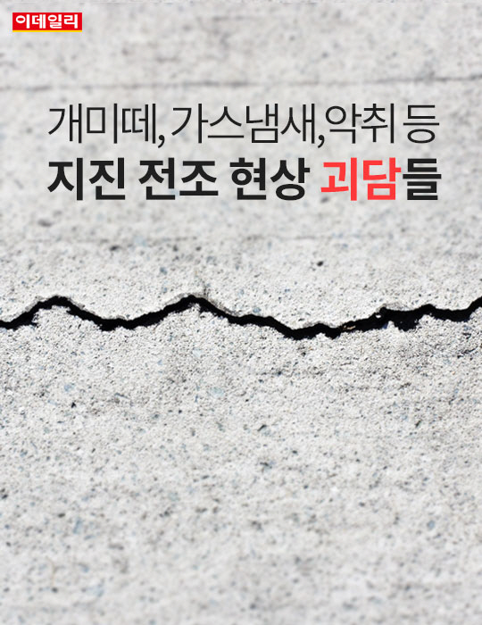 [카드뉴스] 지진 전조현상 괴담들