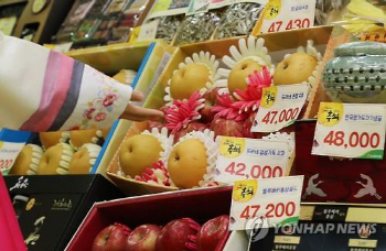 1인 가구 500만이 바꾼 추석 풍경…'미니 선물세트·음식 없는 차례상'