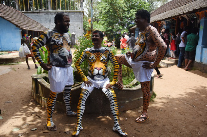 인도 풀리칼리, `오디션에 통과한 명품 배`                                                                                                                                                          