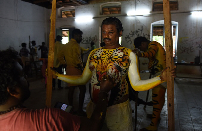 인도 풀리칼리, `조금 더 멋진 호랑이를 위해`                                                                                                                                                       