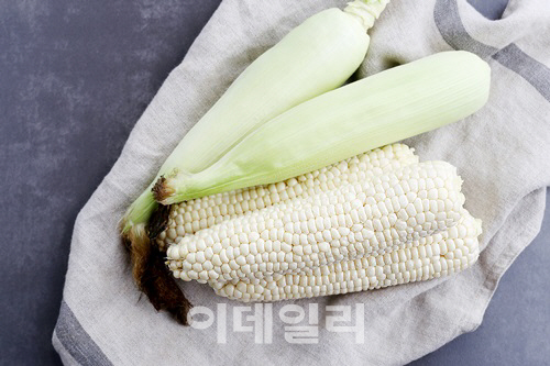 '초당옥수수' 단맛과 뛰어난 품질로 인기