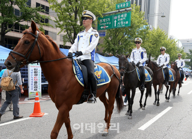 [포토]세종대로에 나타난 경찰 기마대