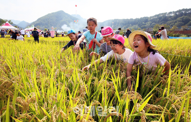 [포토]2016 완주 와일드푸드축제, '메뚜기 이리와'