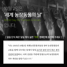 "오늘은 채식" 세계 농장동물의 날 맞아 1천여명 일일 채식