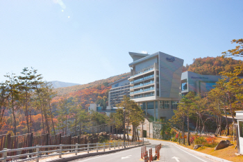 강원의 숨은 가을비경 찾아 떠난 열차여행