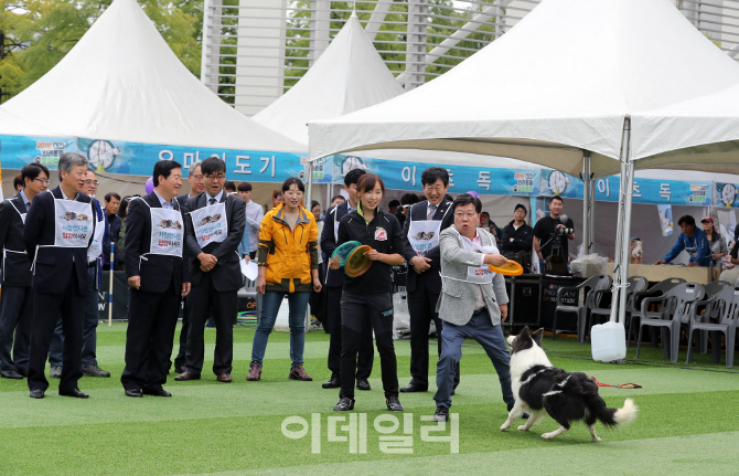 [포토]‘대전반려동물문화축제’ 대전 엑스포시민광장서 개최