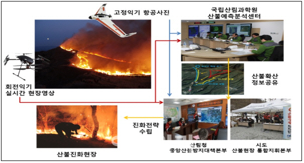 드론 나무 병충해 조사부터 산불진화까지…효과 '톡톡'