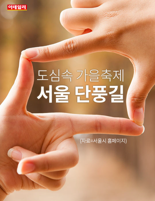 [카드뉴스] 도심속 가을축제, 서울 단풍길