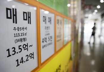 정부가 부동산 과열에도 선뜻 못나서는 3가지 이유