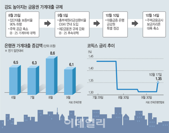 무차별 대출 옥죄기…돈줄 막힌 실수요자는 비명(종합)