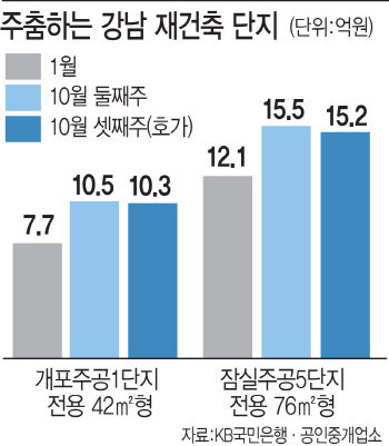 이틀새 3천만원 뚝…강남 재건축시장 이상기류