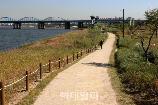 [포토] 가을정취 만끽할 걷기 좋은 한강길 BEST 5 -반포 수변길