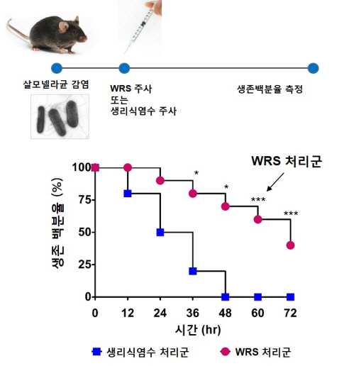 국내연구진, 인체 초기 방어 시스템 세계 최초 규명