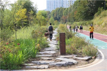 [동네방네]서초구 양재천 '아시아 최고 생태하천'