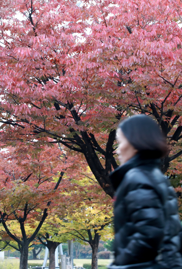 오늘 강원영동, 서해안 일대에 눈…서울 아침 -2도